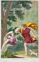 Cephalus und Procris oder Cefalo e Procri, Buch VII, Illustration aus Ovids Metamorphosen, Florenz, 1832
